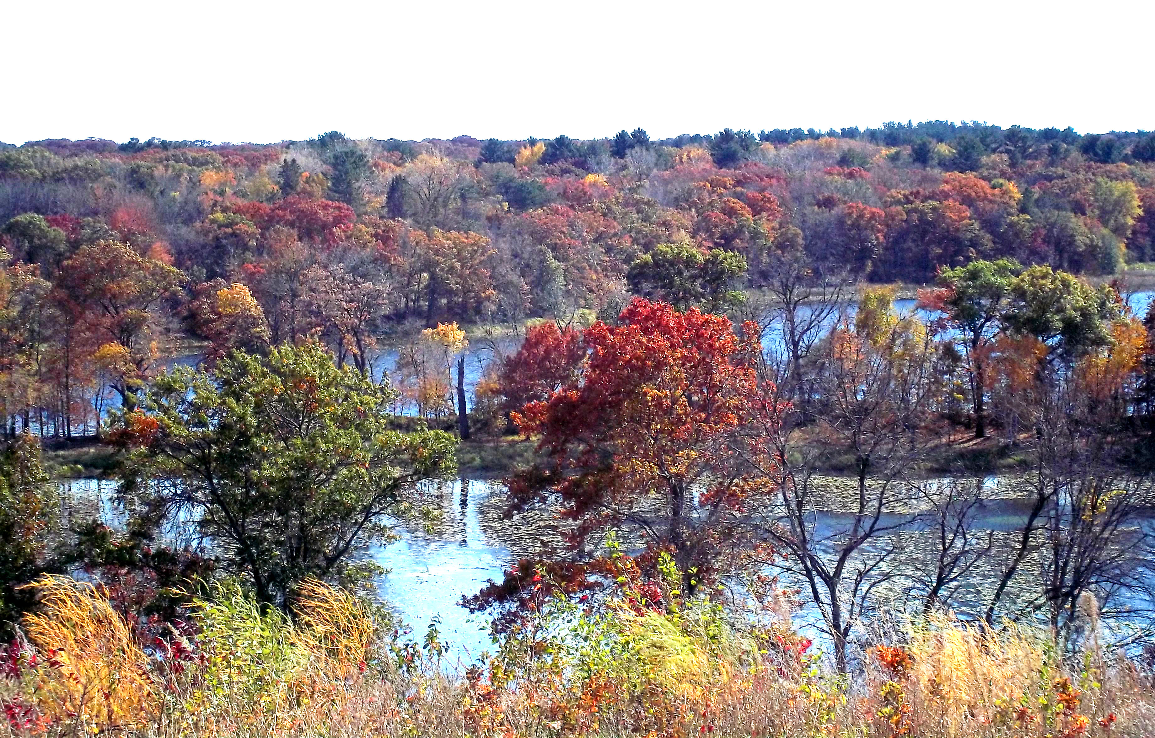 Recyclopedia cover contest